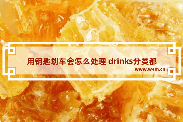 用钥匙划车会怎么处理 drinks分类都有哪些