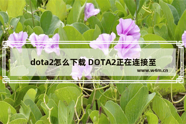 dota2怎么下载 DOTA2正在连接至dota2游戏协调服务器怎么办