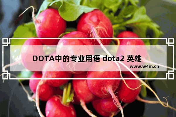 DOTA中的专业用语 dota2 英雄 英文