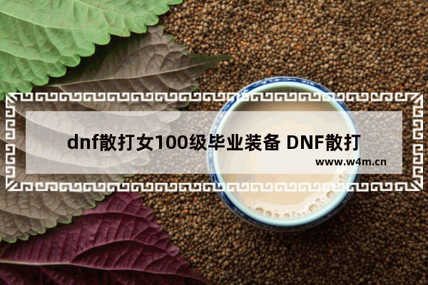 dnf散打女100级毕业装备 DNF散打最好装备是什么