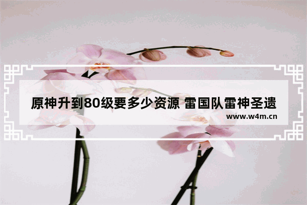 原神升到80级要多少资源 雷国队雷神圣遗物搭配