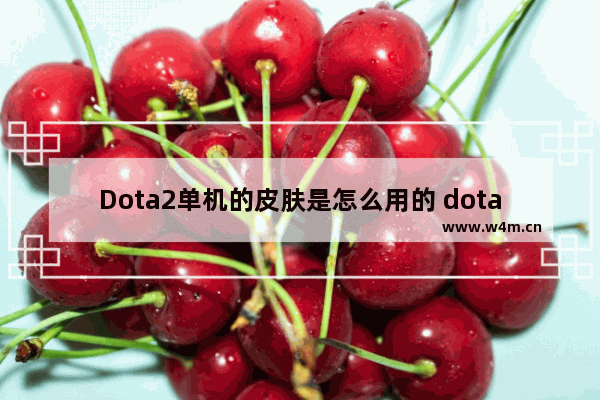 Dota2单机的皮肤是怎么用的 dota2怎么给共享