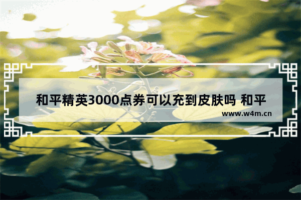 和平精英3000点券可以充到皮肤吗 和平精英中针