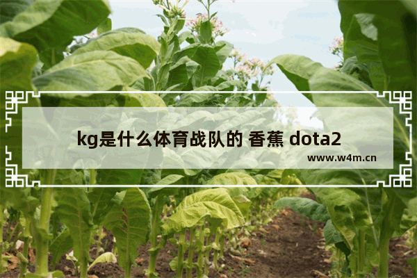 kg是什么体育战队的 香蕉 dota2