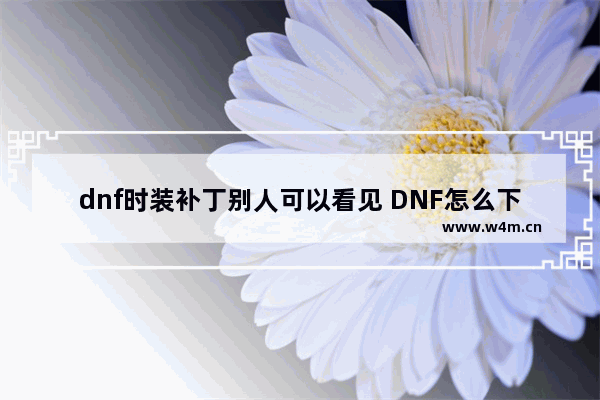 dnf时装补丁别人可以看见 DNF怎么下载时装补丁时候游戏里不同职业显示不同时装