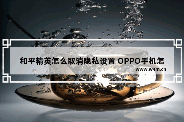 和平精英怎么取消隐私设置 OPPO手机怎么清理和平精英数据