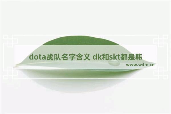 dota战队名字含义 dk和skt都是韩国队吗