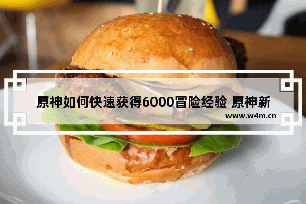 原神如何快速获得6000冒险经验 原神新手到现在多少个任务