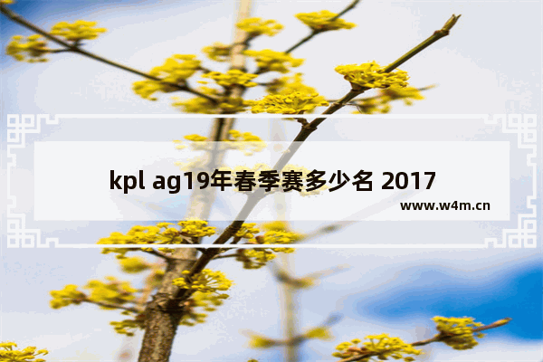 kpl ag19年春季赛多少名 2017穿越火线春季赛