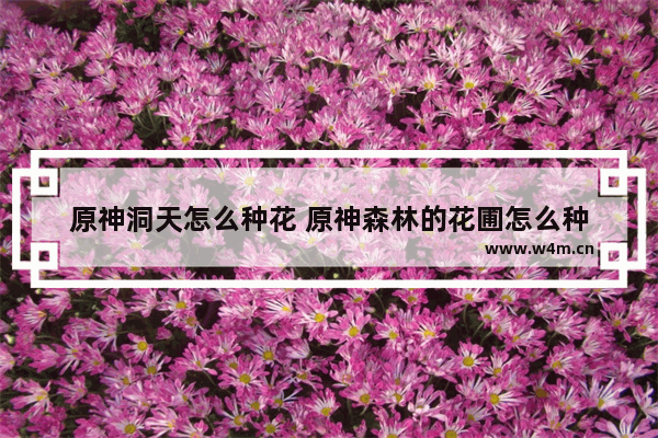 原神洞天怎么种花 原神森林的花圃怎么种