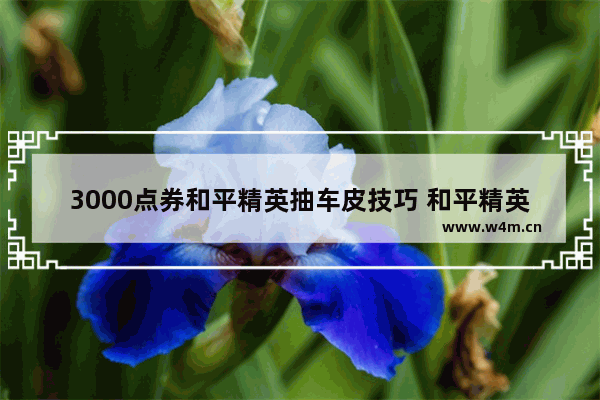 3000点券和平精英抽车皮技巧 和平精英抽红