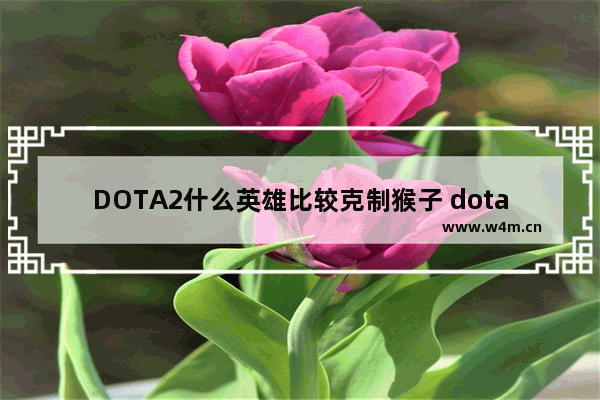 DOTA2什么英雄比较克制猴子 dota2打猴子