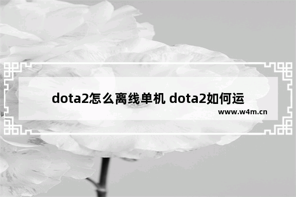 dota2怎么离线单机 dota2如何运行单机模式