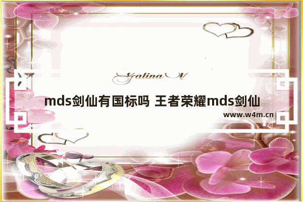 mds剑仙有国标吗 王者荣耀mds剑仙