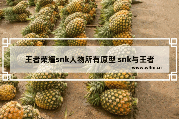 王者荣耀snk人物所有原型 snk与王者荣耀