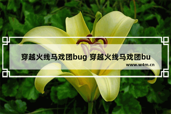 穿越火线马戏团bug 穿越火线马戏团bug