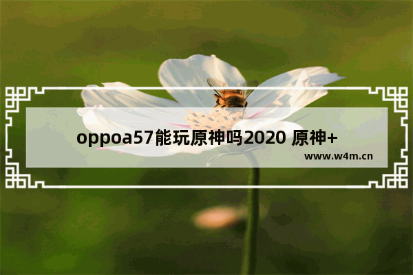 oppoa57能玩原神吗2020 原神++攻略