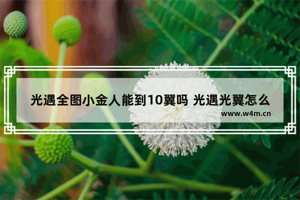 光遇全图小金人能到10翼吗 光遇光翼怎么到十翼