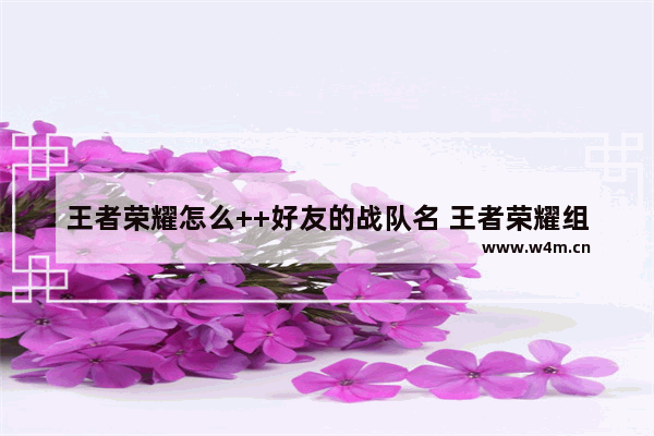 王者荣耀怎么++好友的战队名 王者荣耀组队名字