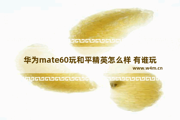 华为mate60玩和平精英怎么样 有谁玩和平精英