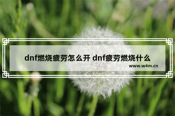 dnf燃烧疲劳怎么开 dnf疲劳燃烧什么意思