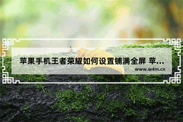 苹果手机王者荣耀如何设置铺满全屏 苹果手机王者荣耀切出来就掉线