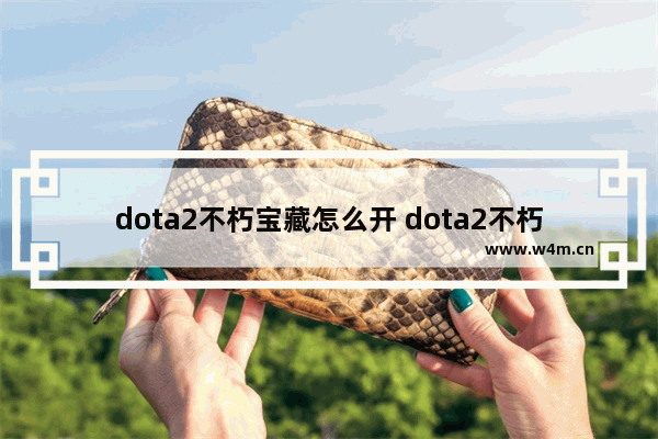 dota2不朽宝藏怎么开 dota2不朽宝藏能直接开吗