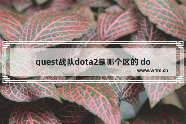 quest战队dota2是哪个区的 dota2寻找比赛