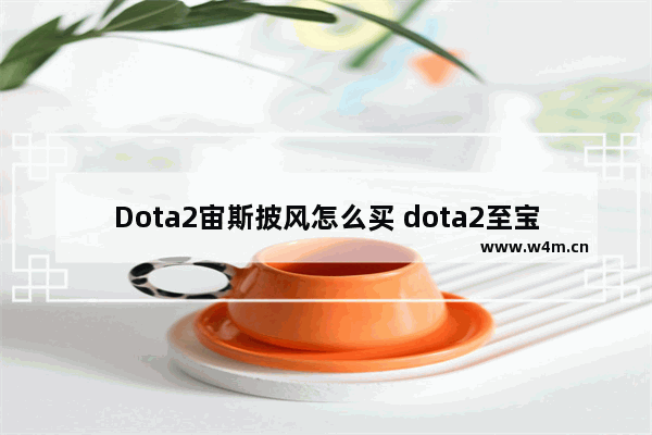 Dota2宙斯披风怎么买 dota2至宝质量排名