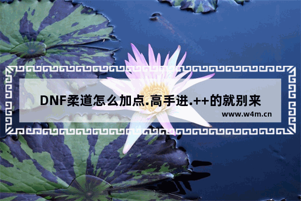 DNF柔道怎么加点.高手进.++的就别来了 地下城与勇士柔道滑行