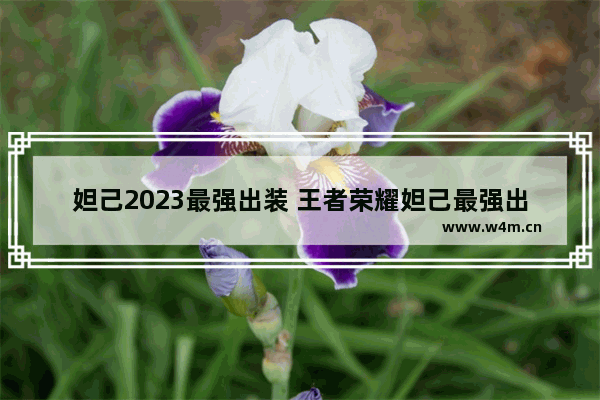 妲己2023最强出装 王者荣耀妲己最强出装