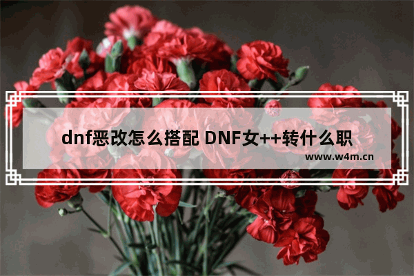 dnf恶改怎么搭配 DNF女++转什么职业好