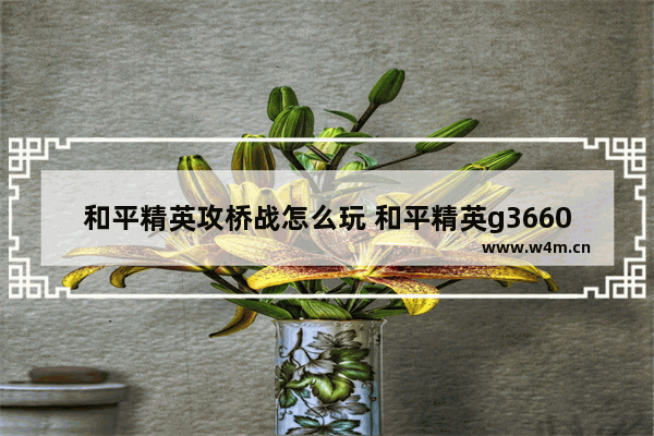 和平精英攻桥战怎么玩 和平精英g3660和990的区别