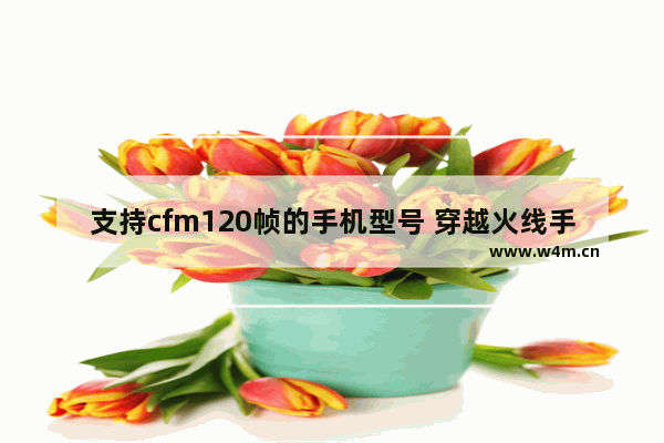 支持cfm120帧的手机型号 穿越火线手机版叫什么