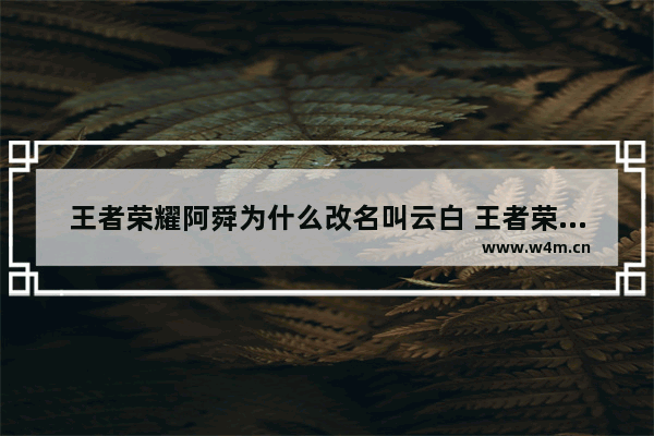 王者荣耀阿舜为什么改名叫云白 王者荣耀林度还是白家的吗