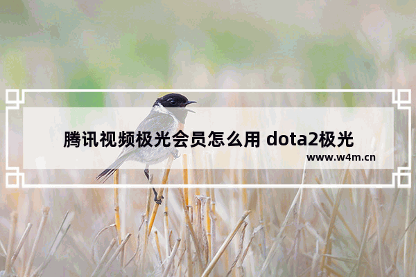 腾讯视频极光会员怎么用 dota2极光