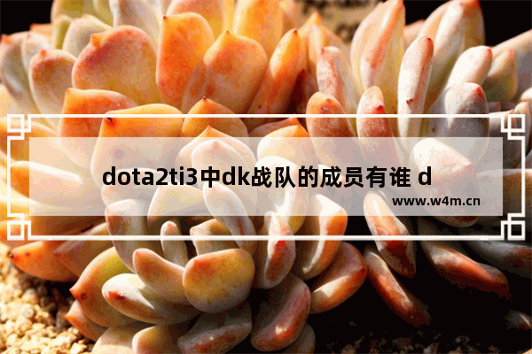 dota2ti3中dk战队的成员有谁 dota2  burning