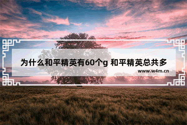 为什么和平精英有60个g 和平精英总共多少G