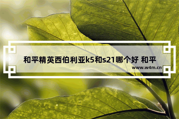 和平精英西伯利亚k5和s21哪个好 和平精英酷神