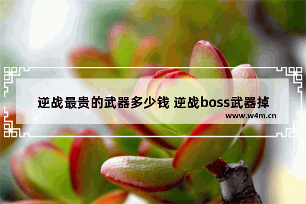 逆战最贵的武器多少钱 逆战boss武器掉落排行