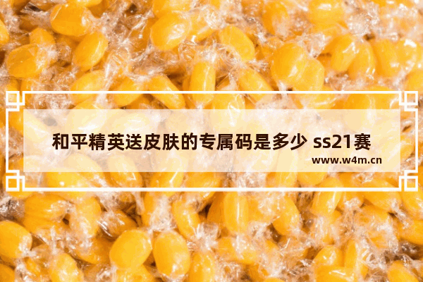 和平精英送皮肤的专属码是多少 ss21赛季手册皮肤升级枪是什么