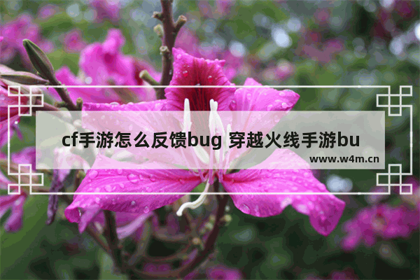 cf手游怎么反馈bug 穿越火线手游bug最新