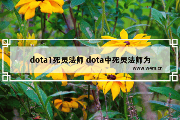 dota1死灵法师 dota中死灵法师为什么能做后期大肉