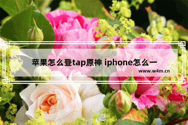 苹果怎么登tap原神 iphone怎么一键启动原神