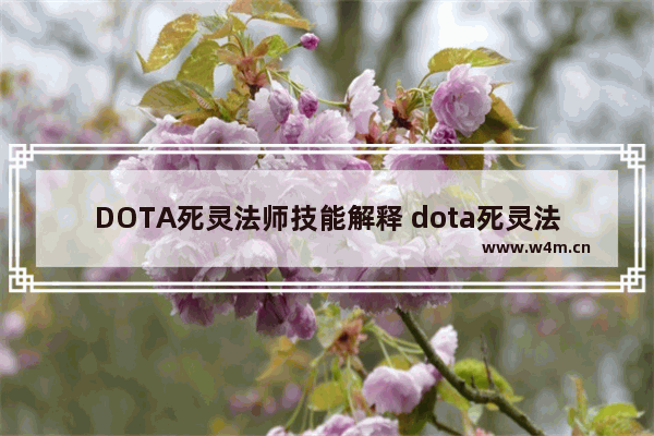 DOTA死灵法师技能解释 dota死灵法师技能加点