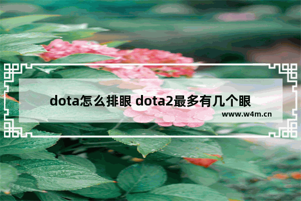 dota怎么排眼 dota2最多有几个眼