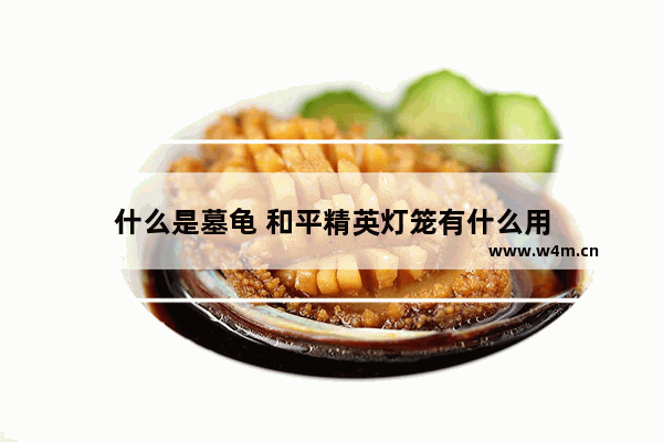 什么是墓龟 和平精英灯笼有什么用