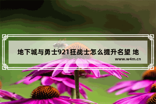 地下城与勇士921狂战士怎么提升名望 地下城与勇士增幅名望