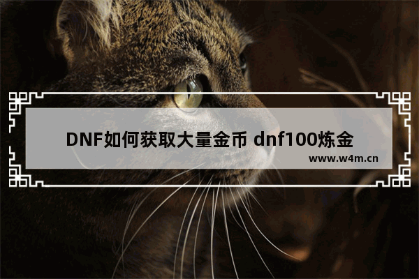 DNF如何获取大量金币 dnf100炼金术怎么赚钱