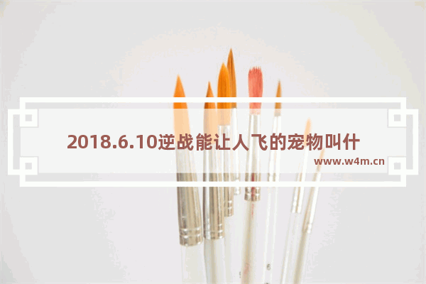 2018.6.10逆战能让人飞的宠物叫什么 逆战自选重置卡怎么得